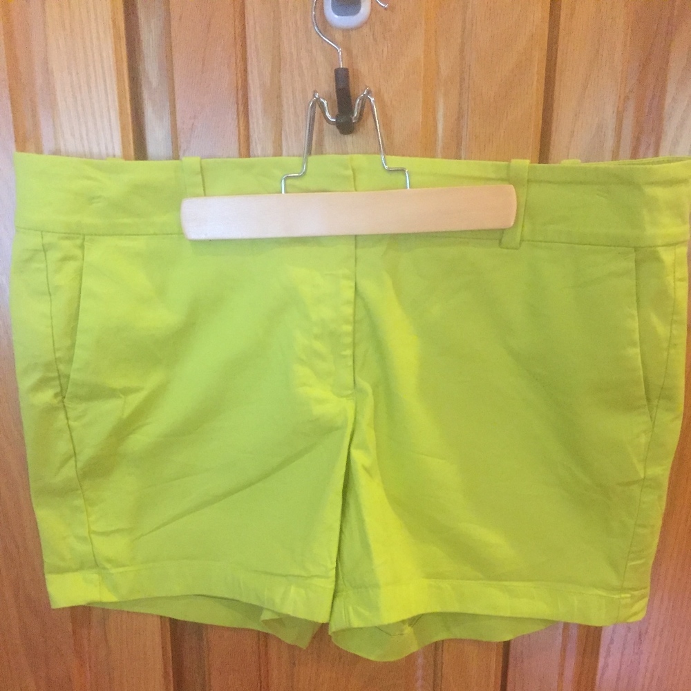 Ann Taylor Shorts